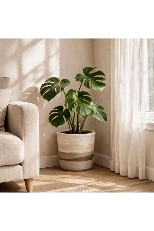 Julie Stoneware Organic Striped Desert Planter 16.5x16.5x15cm - Brown