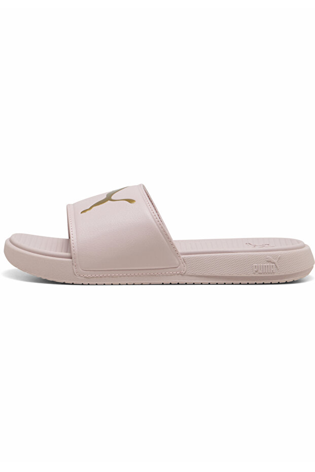 Cool Cat 3.0 Slides - 6