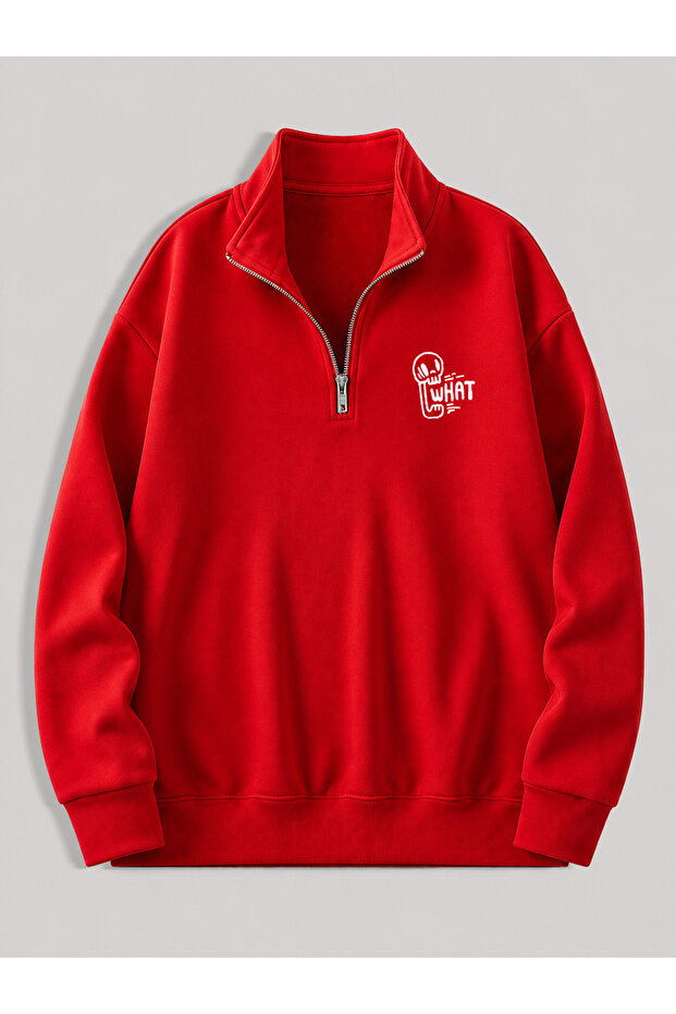 Men's Standing Collar Zippered Printed Oversized Sweatshirt