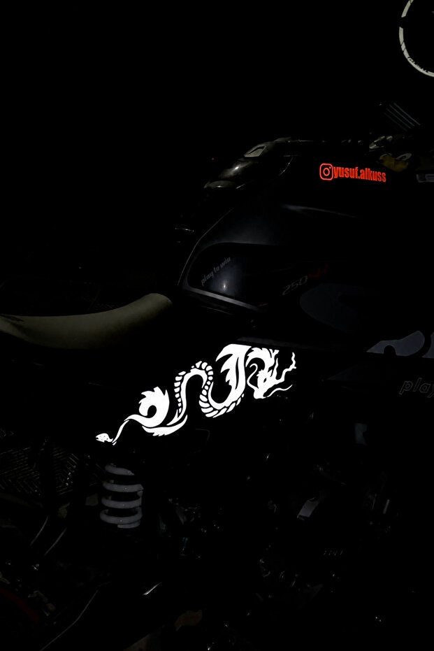 مجموعة ملصقات Ejder ذات العاكسات المصبوبة بالكامل (يمين ويسار) لـ CFMOTO 250SR