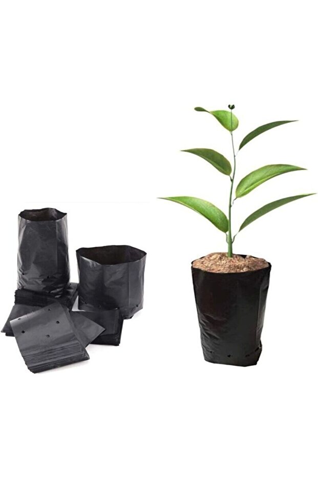 100-pack thickened plastic seedling bags. Size 15x25 cm – planting bags with root ventilation holes – good air permeability.