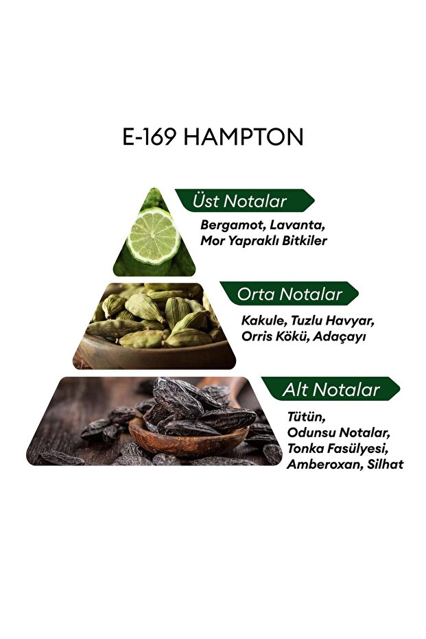 E169 Hampton 50 ml Erkek Parfüm | Aromatic - 4