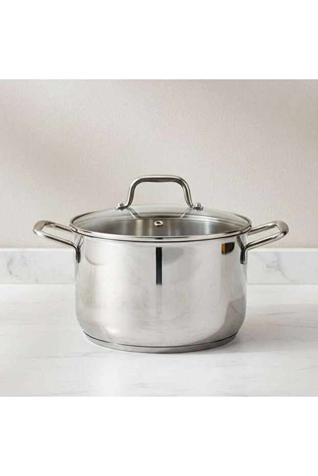 Pradeep Stainless Steel Cooking Pot With Lid Dia28cm -chrome