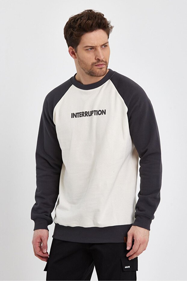 Printed Regular Fit Sweatshirt (E23-73103)