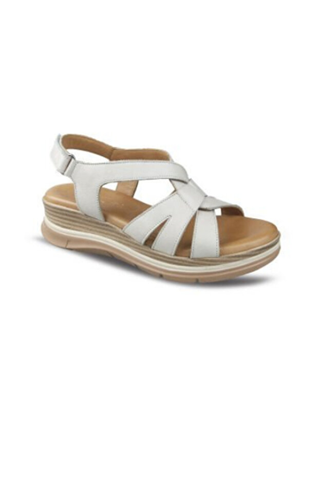 0218 (36-41) زيني