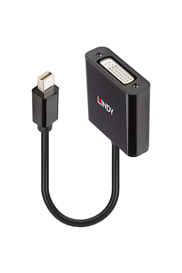 Mini DisplayPort to DVI - 2