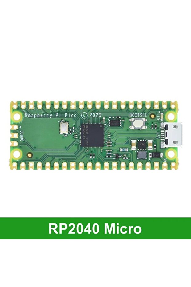 Raspberry Pi Pico without Headers (Micro USB) - 1