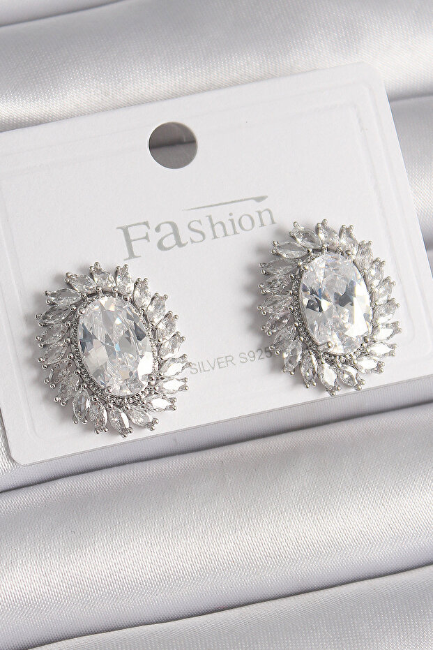 Brass Silver Color Zircon Stone Women's Earrings