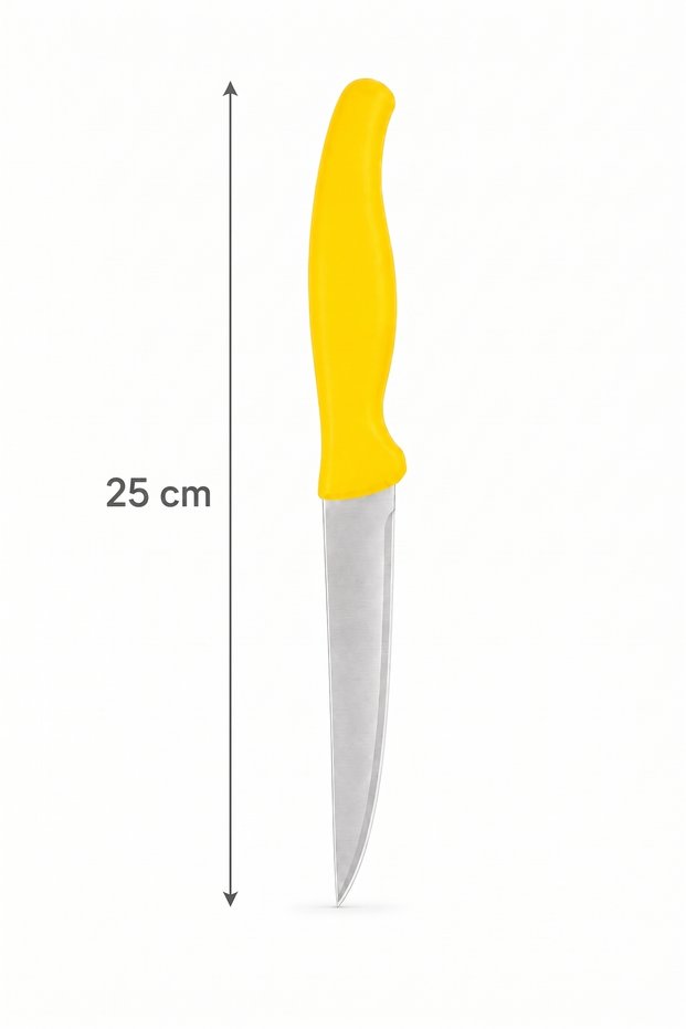 25 cm Stainless Steel Vegetable and Fruit Knife – Sharp Kitchen Knife with Ergonomic Handle