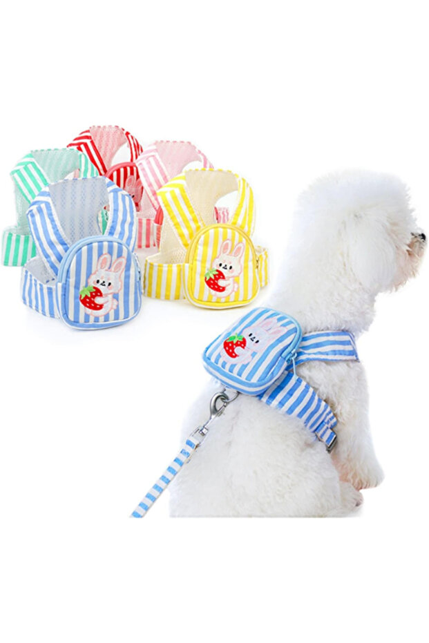 Pet Bag Chest Travel Collar Set