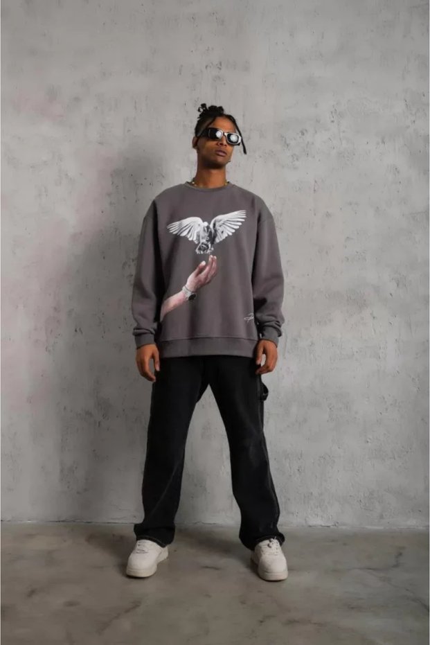 Men's pigeon print sweatshirt - grey