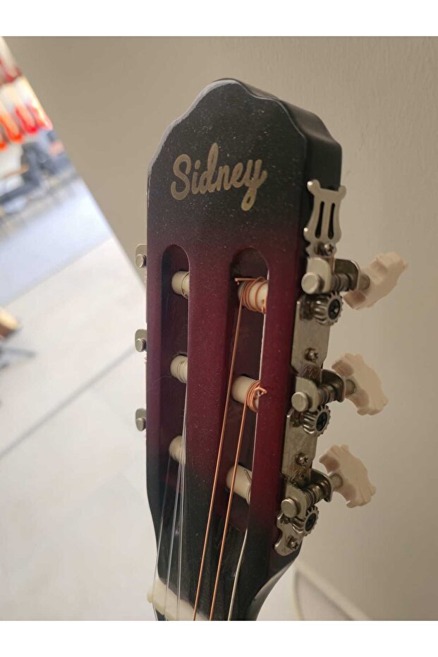 Gitar