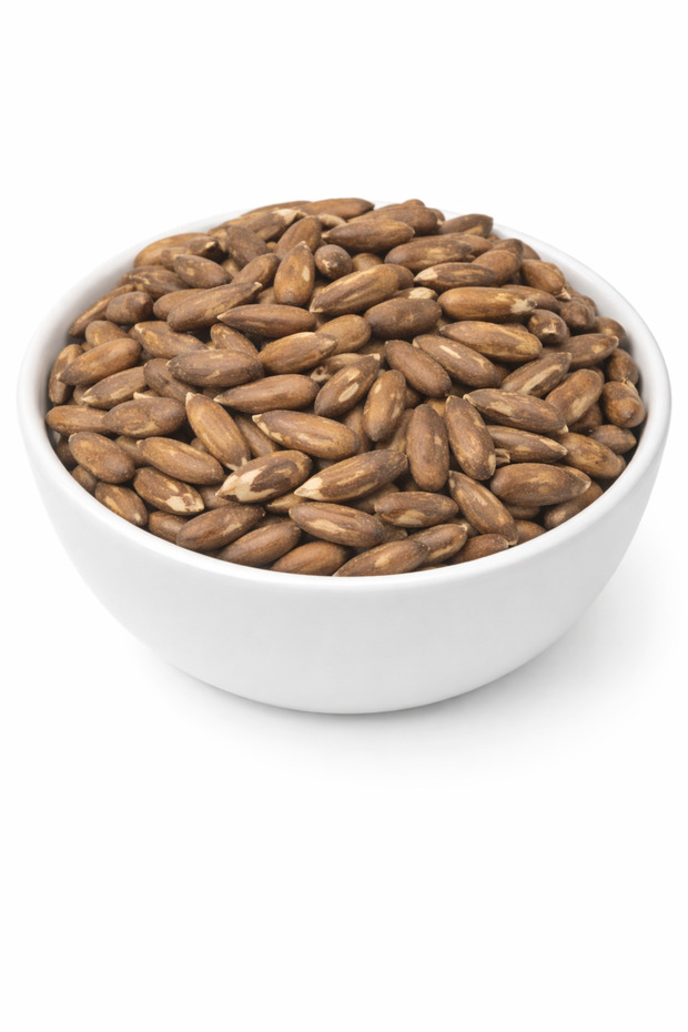 Afghan Pine Nuts with Shell