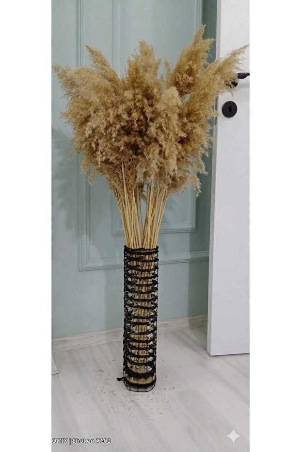 Metal Wire Black Mesh Pampas-Plant Vase