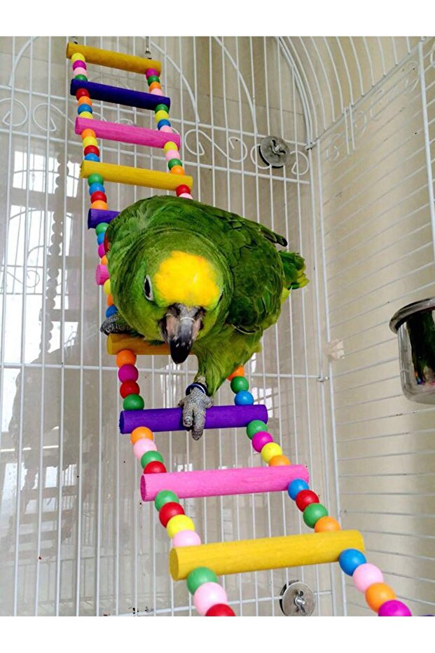 L MULTI Colorful Wooden Bird Ladder & Swing - Perfect Habitat For Small Parrots