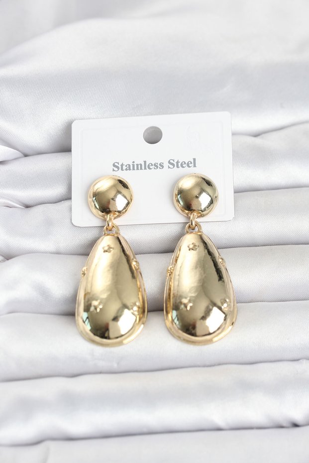 316L Steel Gold Color Drop Model Women's Earrings