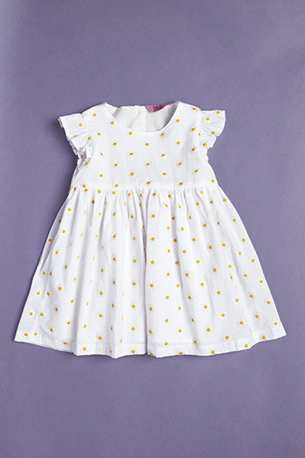 Embroidered Fit & Flare Dress with Crew Neck and Flutter Sleeves