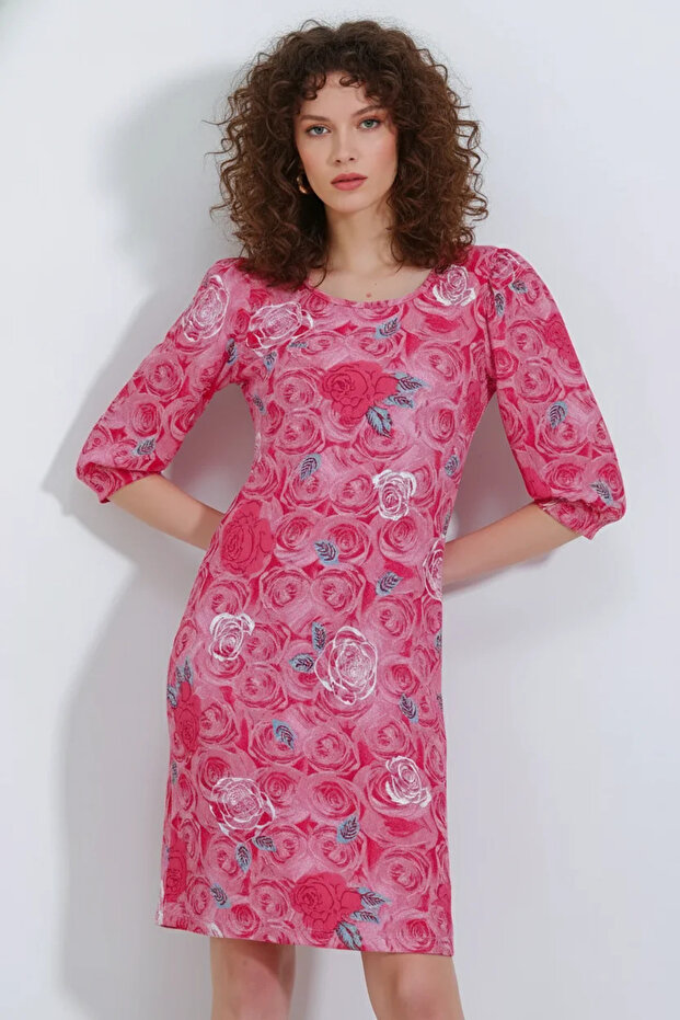 Women's Round Neck Regular Floral Patterned Pomegranate Dress