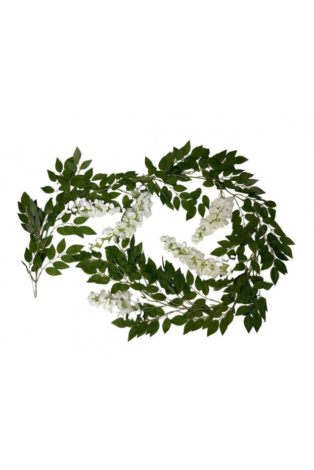 Ghirlanda Glicina