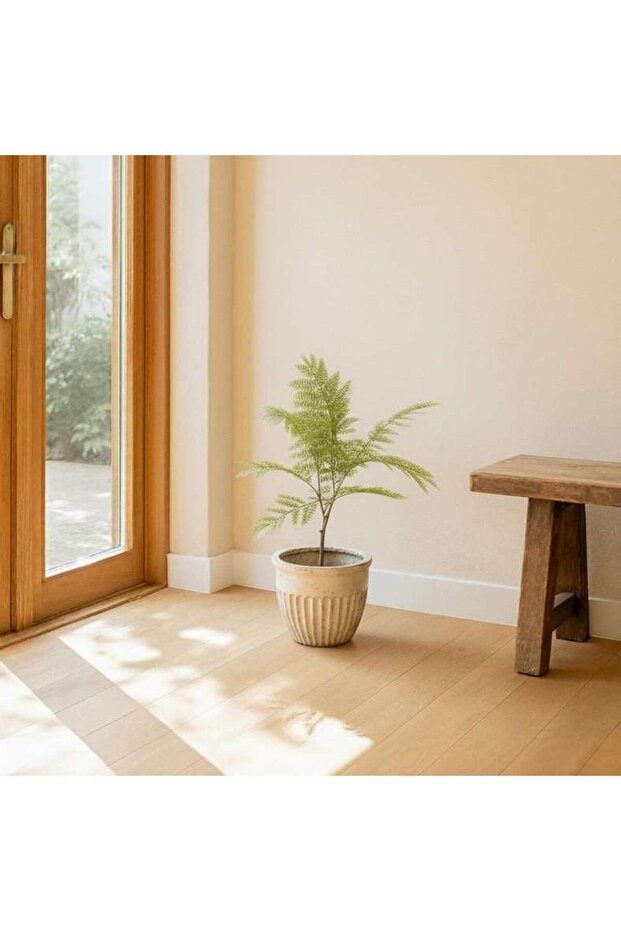 Artificial Jacaranda Tree H59cm - Green