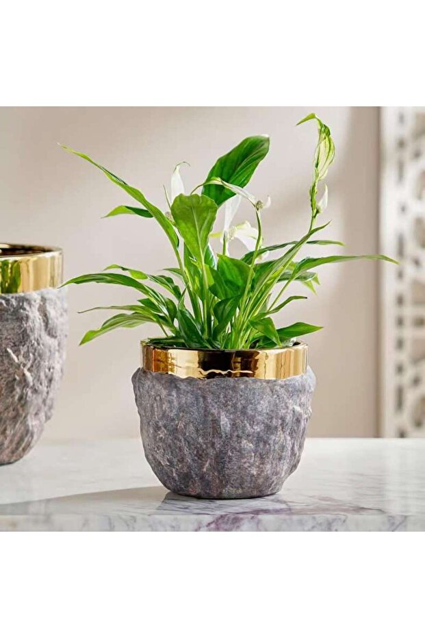 Oro Ceramic Planter 16.5x16.5x13.5cm - Brown