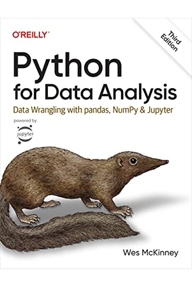 Python for Data Analysis 3e: Data Wrangling with pandas, NumPy, and Jupyter - 1