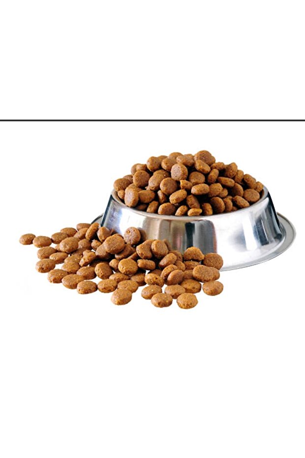 Köpek maması