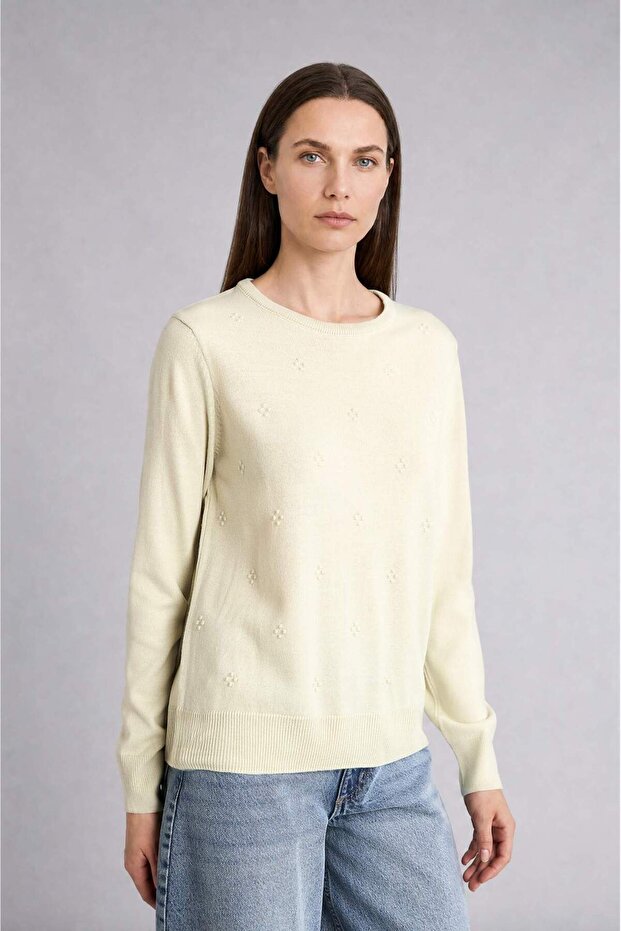 Regular Fit Crew Neck Knitwear Basic Sweater F4084Ax26Wn