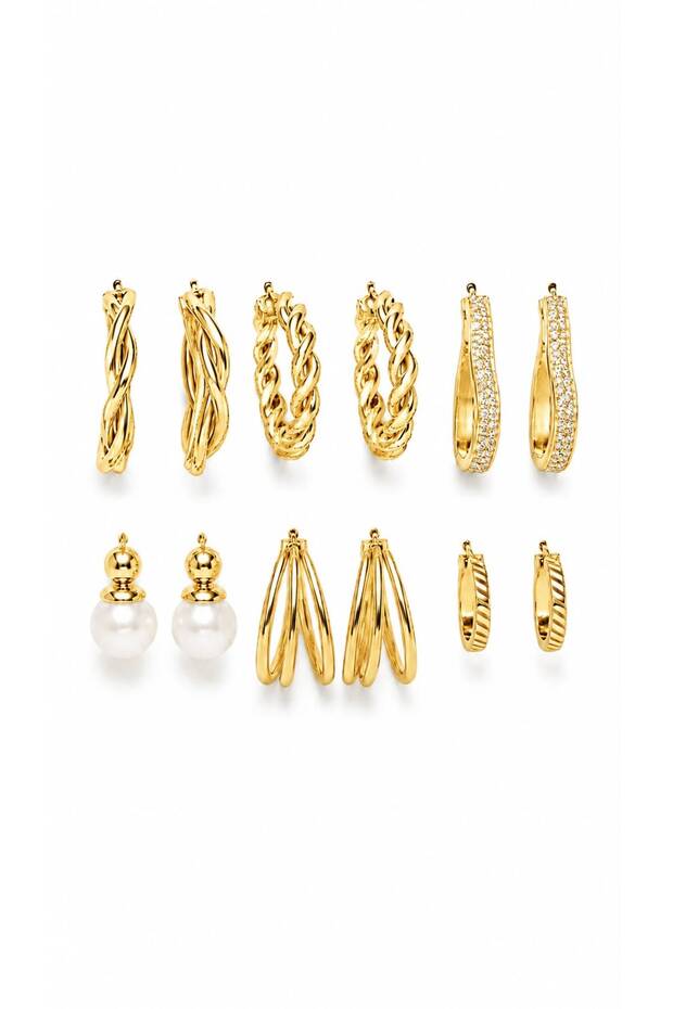 Women's Steel 12-Piece Premium Earrings