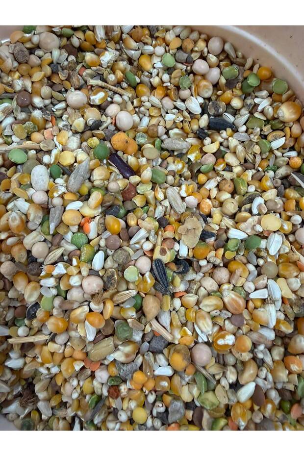 urazmixgüvercin 5 kg