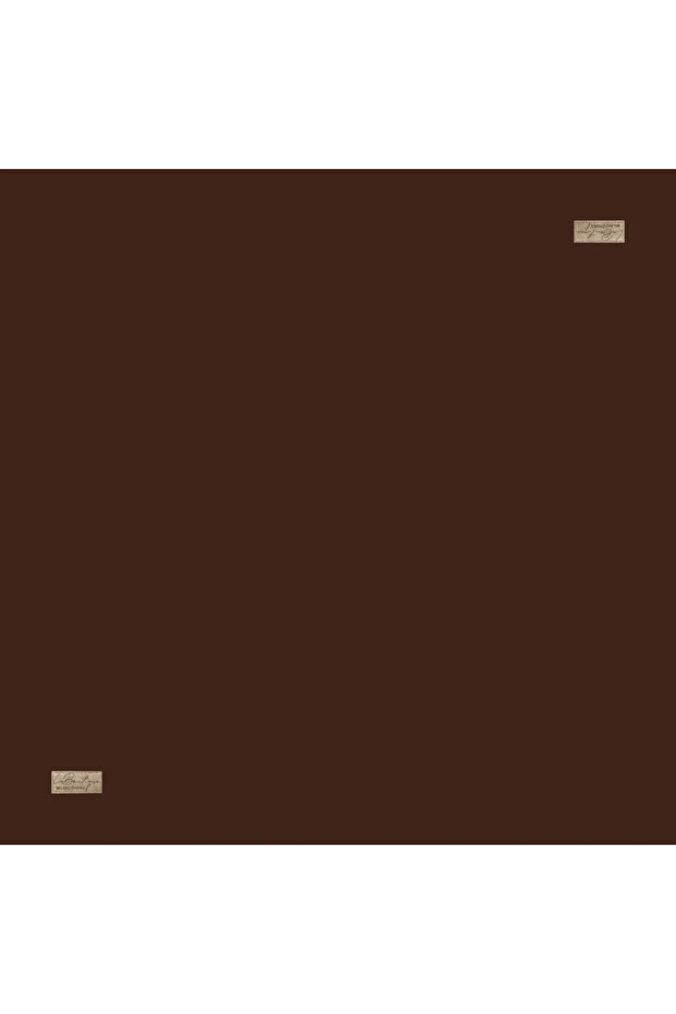 Labouti̇que Di̇ana Eşarp Cotton Modal Crystal Woven Plain Brown