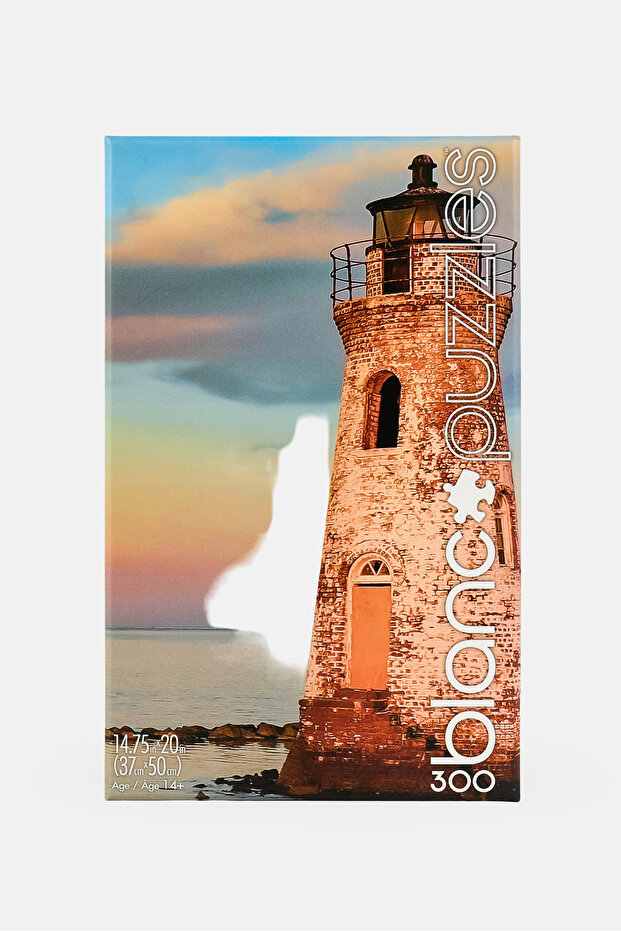 300 Pieces Blanc Jigsaw Puzzle