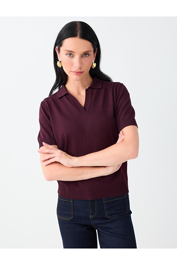 Burgundy V-Neck Short Sleeve Knit Sweater
