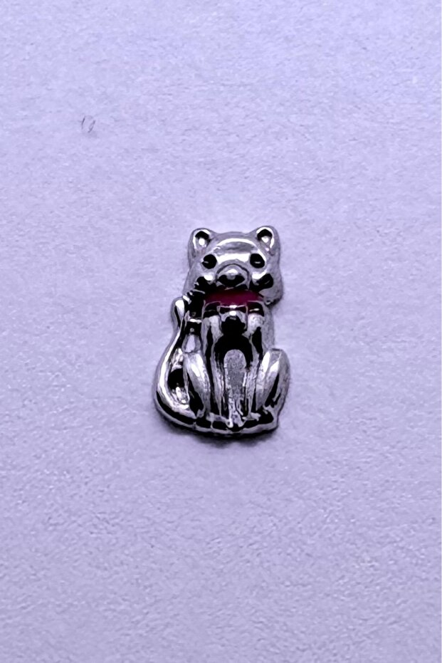 Kedi Mini Charm