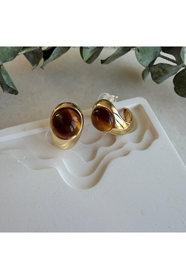 C Tiger's Eye Stone Earrings