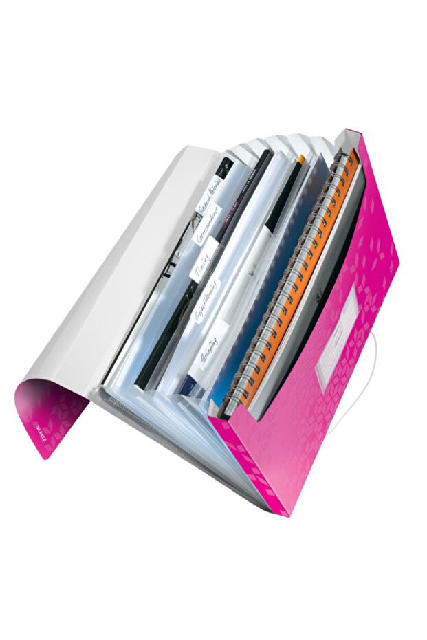 Plastic MAPA cu 6 compartimente, roz metalic, tip proiect WOW - 3