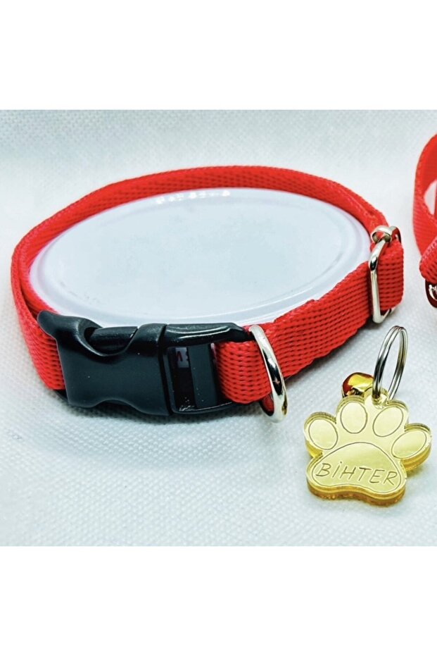Dog Collar and Imprint - 1