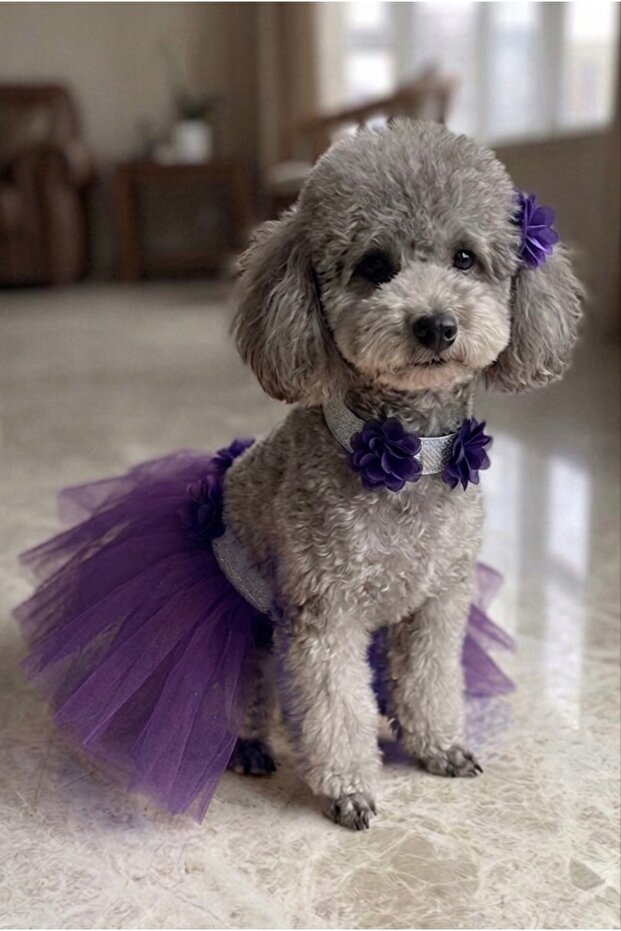 Cat Dog Tutu Skirt and Buckle