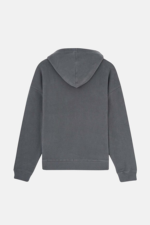 Basic Supersoft Hoodie - Anthracite | Licensed Wwf Product - 3
