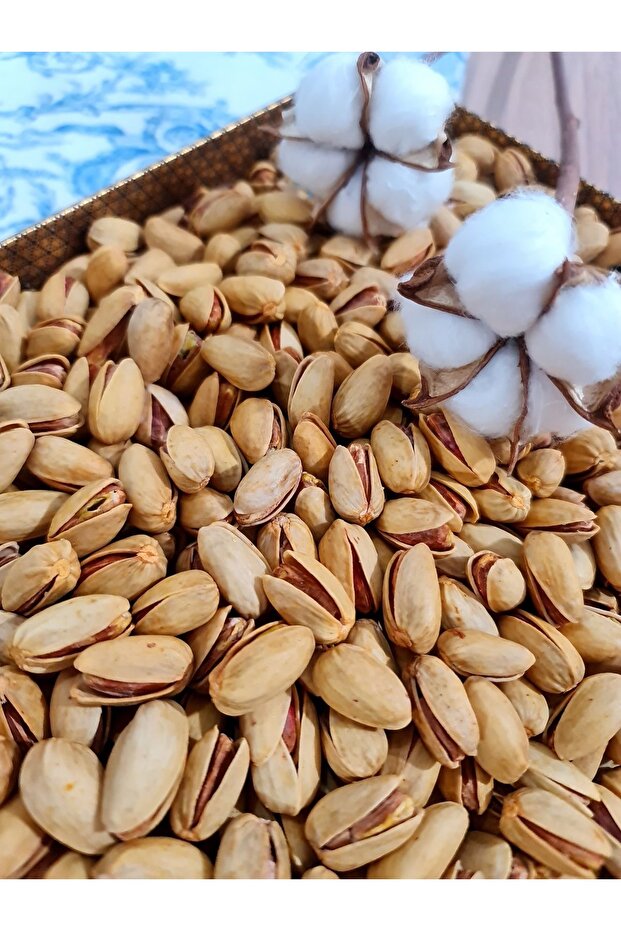 فستق جامبو مقاس 18/22 مالح