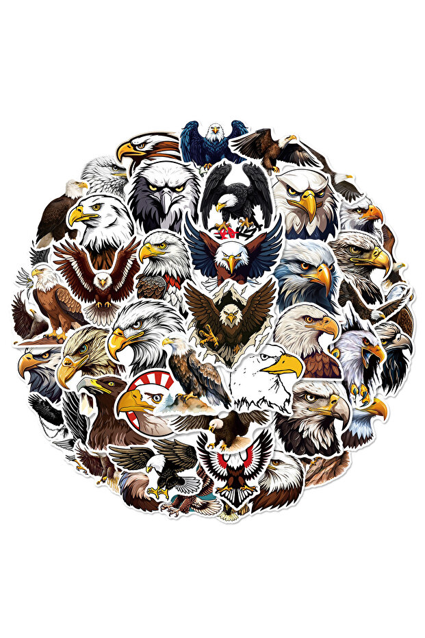 50PCS 50PCS Cartoon Eagle Graffiti Stickers Waterproof Fridge Guitar Laptop Motorcycle Skateboard De