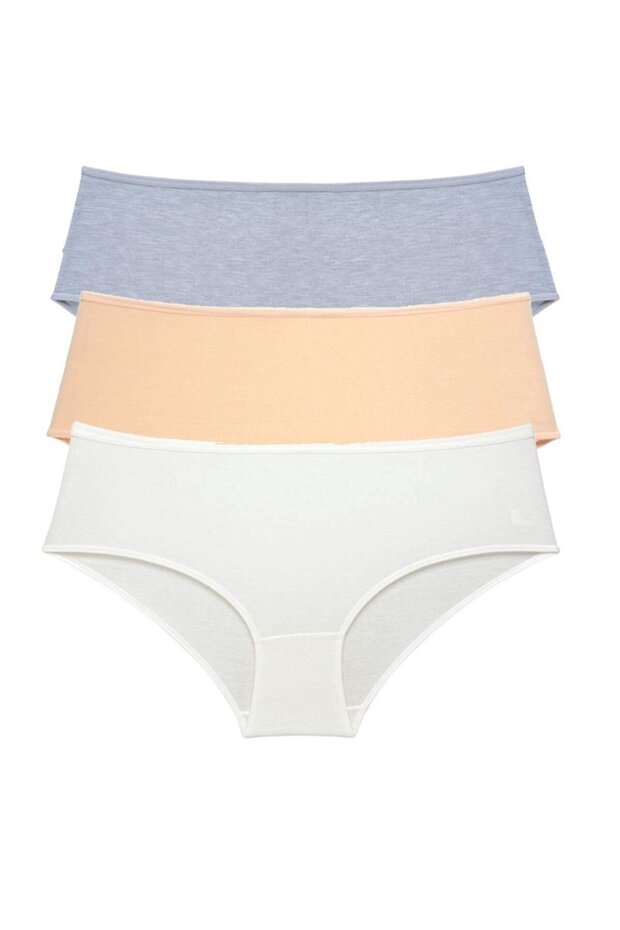 Glb-Stl41414 3 Pieces Women's High Waist Bato Panties Gray Skin Cream