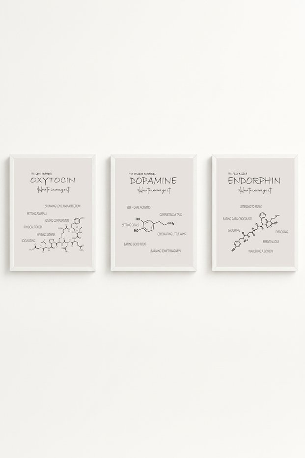 White Wooden Framed Hormones of Happiness 3-Piece Painting Set Huhu562 - Triple Painting Set White Frame