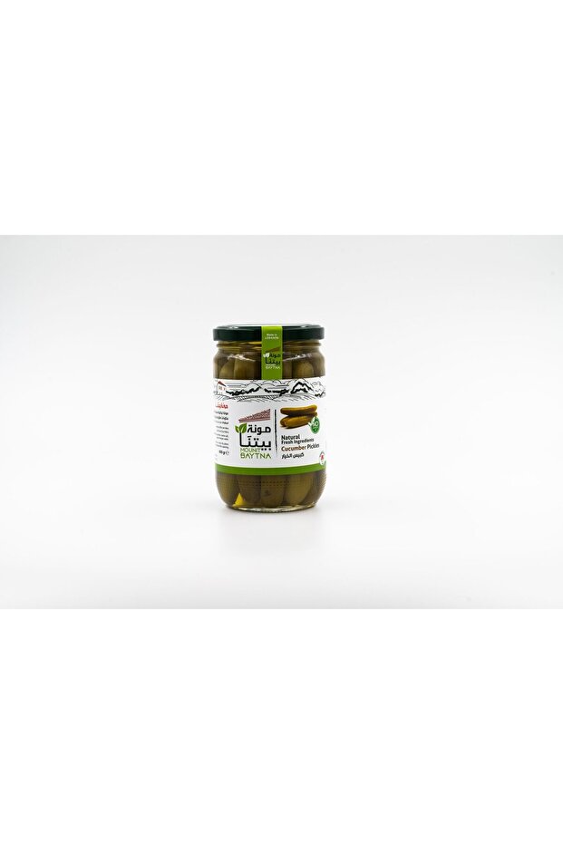 Cucumber Pickles 600 g