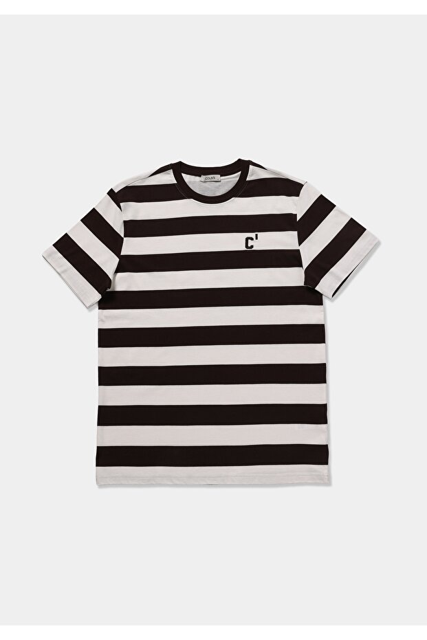 Regular Fit Round Neck Striped Men's Brown Short Sleeve T-Shirt