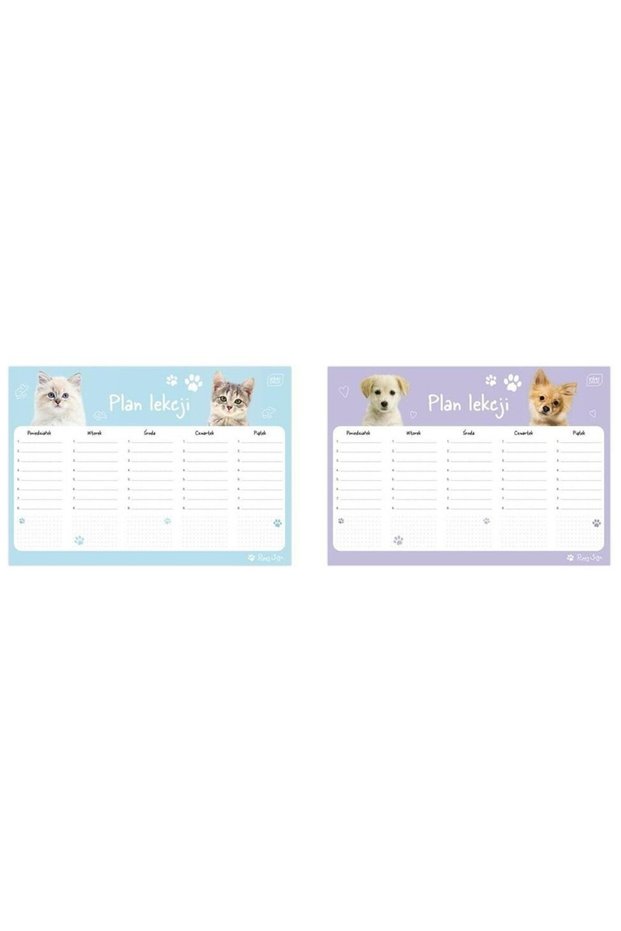 Planificator orar A4 set 10 buc multicolor