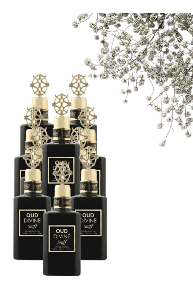 10 قطع من عطر العود الإلهي 100 مل