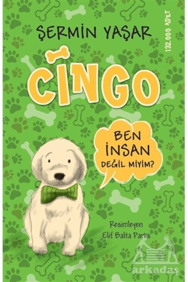 Cingo