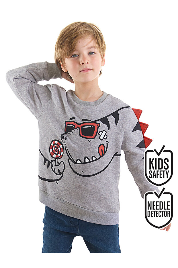 Candy Dinosaur Boy Gray Sweatshirt