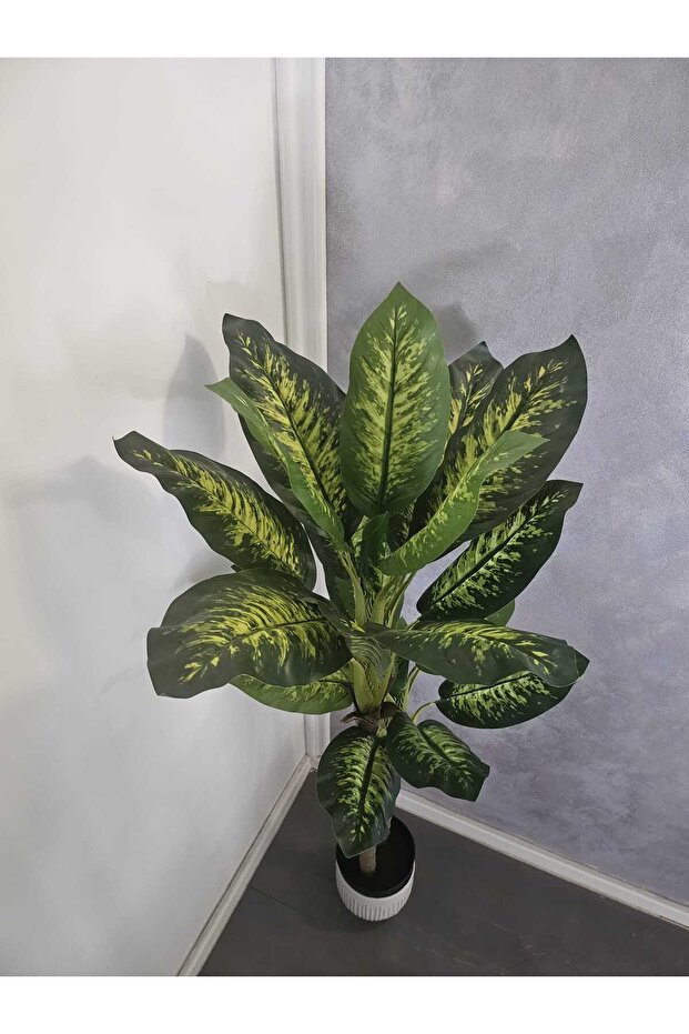 Evergreen 140cm - 3